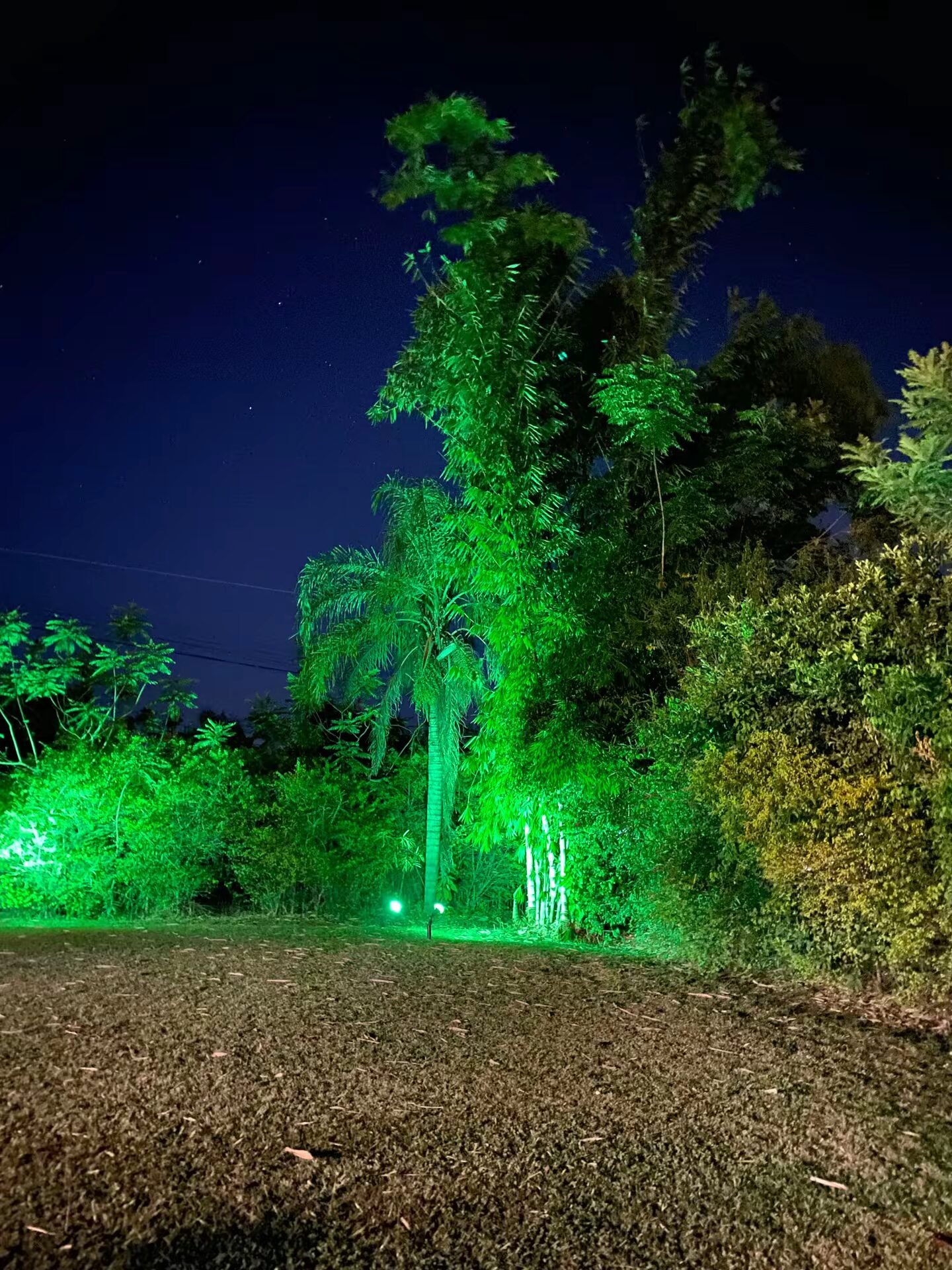 temp_image_DBEFB953-4988-47EF-BBED-045CFE2B0656