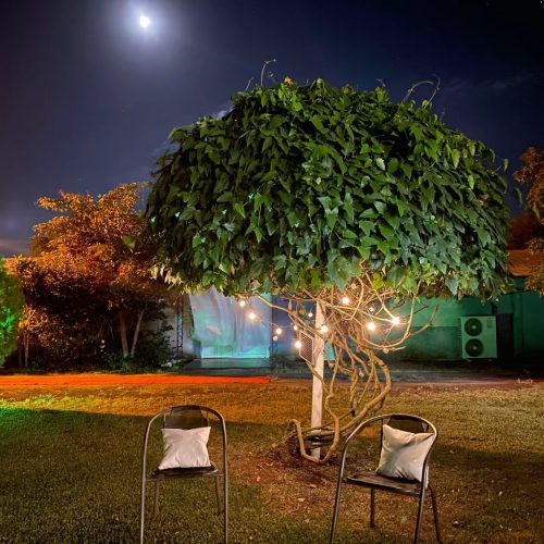 temp_image_57A3936C-E742-4D99-861F-FFF2A157D415