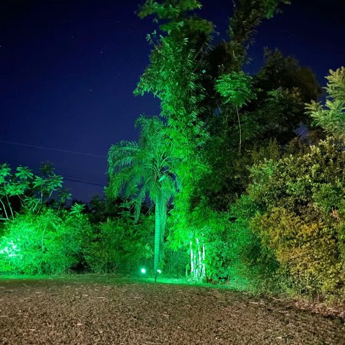 temp_image_DBEFB953-4988-47EF-BBED-045CFE2B0656